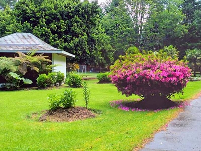 Servicio jardinería Puerto Montt