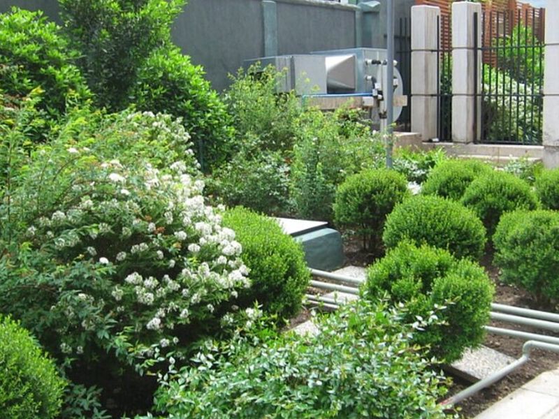 Servicio jardinería Punta Arenas