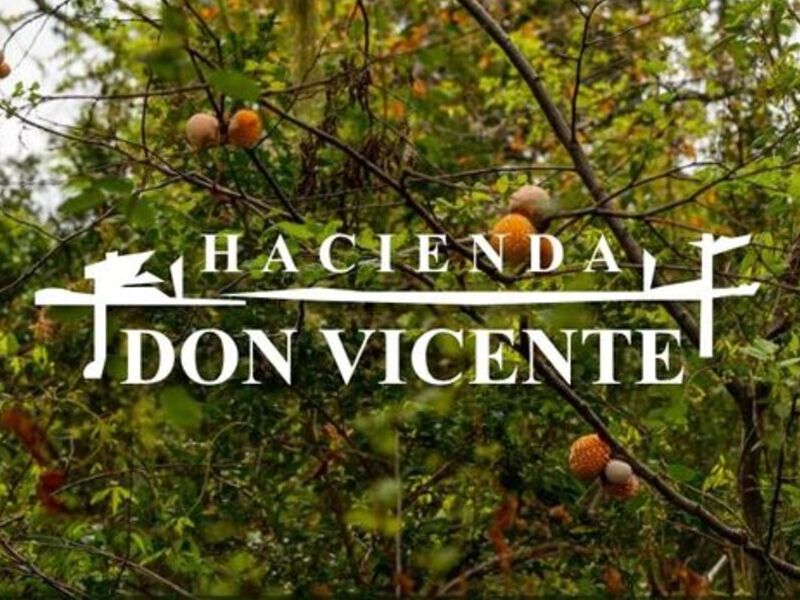 Parcela venta Chile