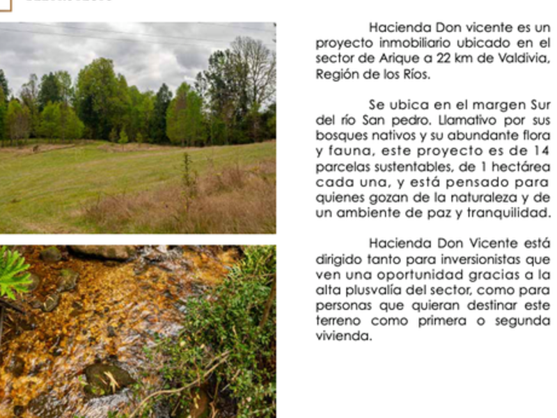 Venta Parcela Bosque Chile
