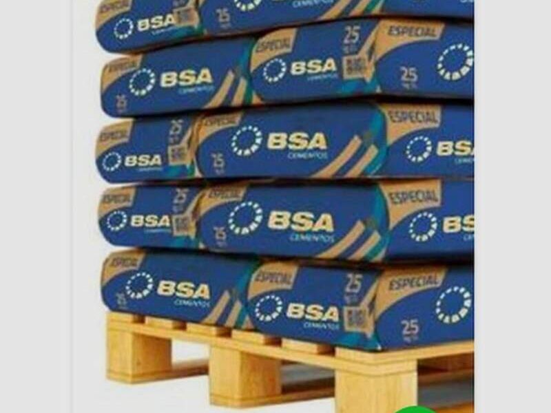 CEMENTO BSA 72 SACOS chile