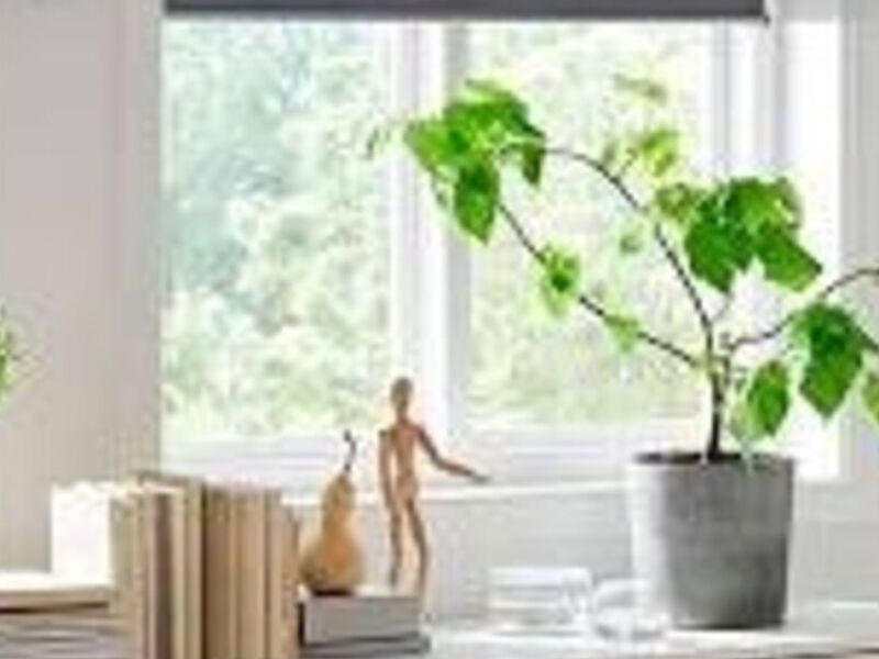 Cortinas inteligentes Amazon Echo Chile
