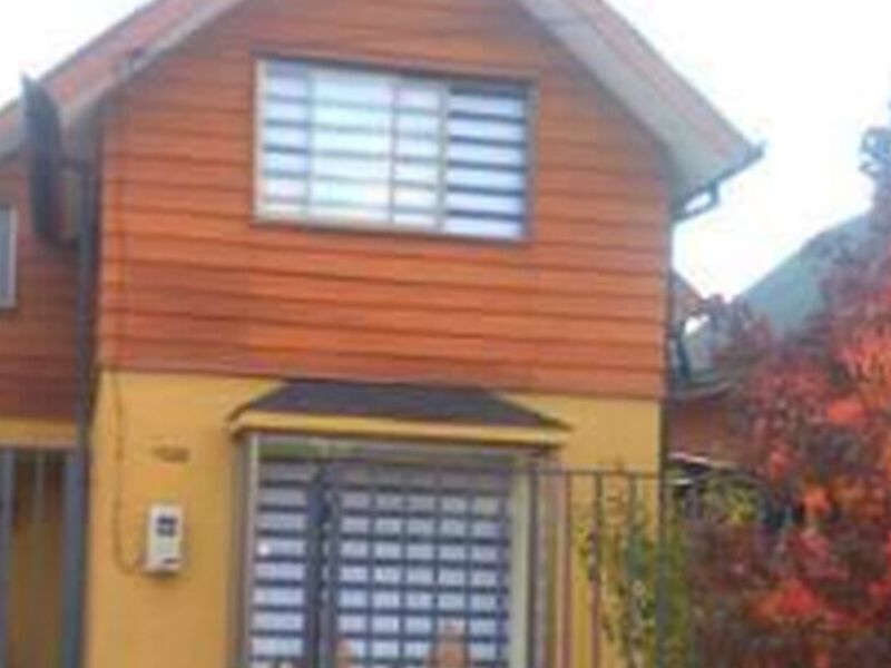 Madera Chile.