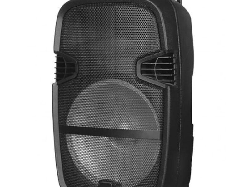 PARLANTE PORTATIL STREET 12 PROBASS