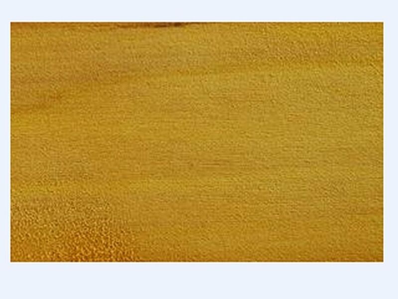 Madera Laurel Chile