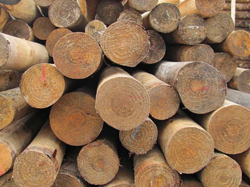 Madera Polin Chile