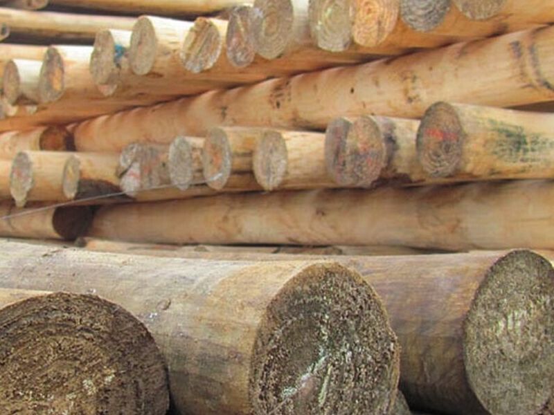Madera Poste Chile