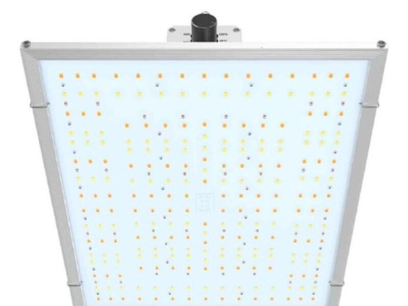 QUANTUM BOARD LED