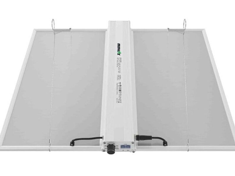QUANTUM BOARD LED NANOLUX