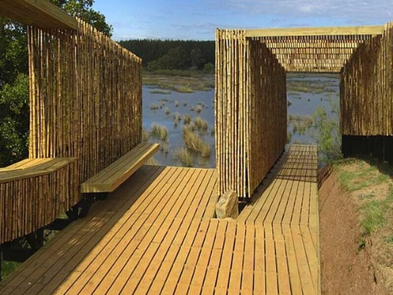 Colihue Madera Chile