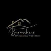 Barnecheas