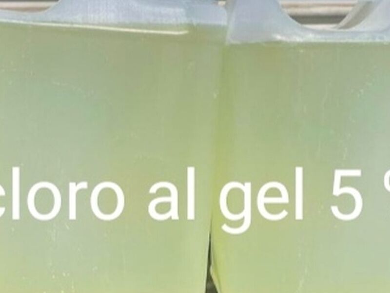 Cloro al gel % Chile