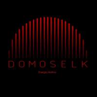 Domoselk