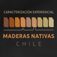 Madera Nativa Chile