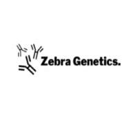 Zebra Genetics
