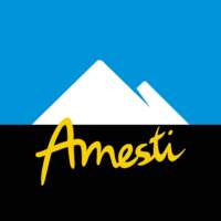 Amesti Chile