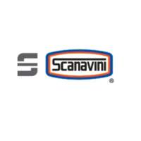 Scanavini