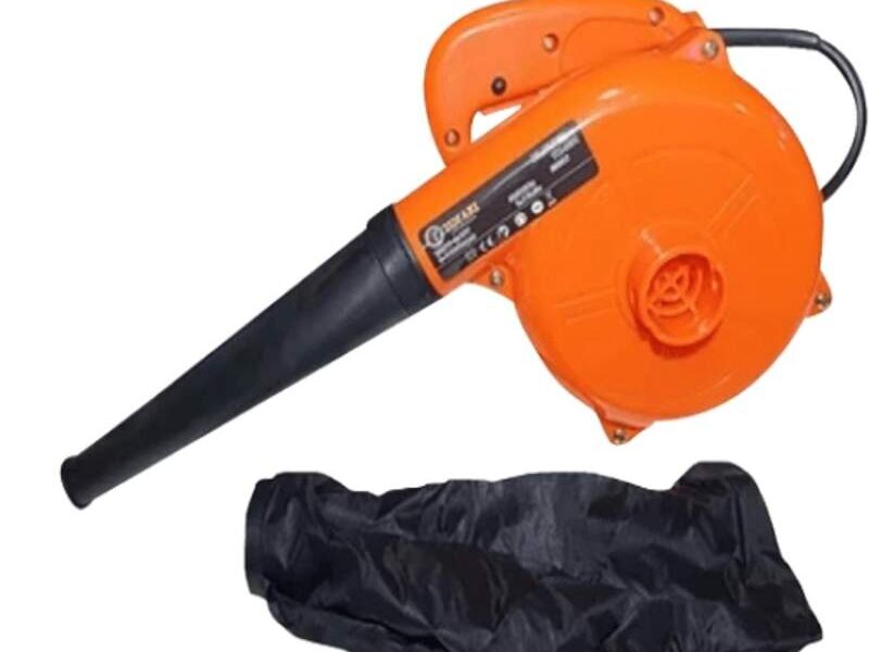 Soplador Electrico 550W