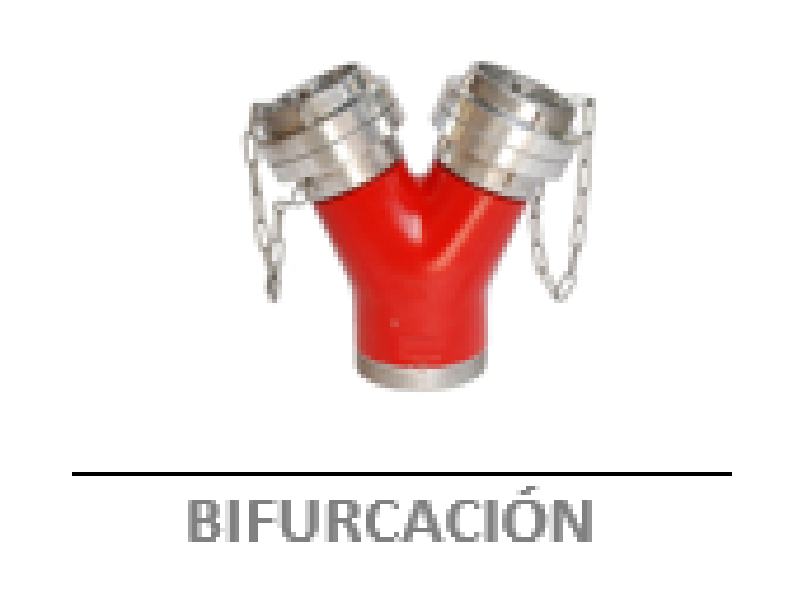 Bifurcacion Chile