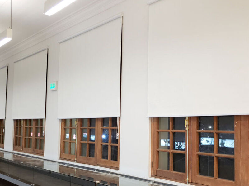 Cortinas Blackout Splendyd Concepción