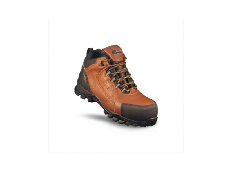 Botin Titan Limited Region Metropolitana