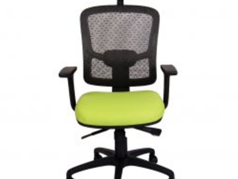 Sillon bicolor 