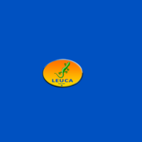 Leuca