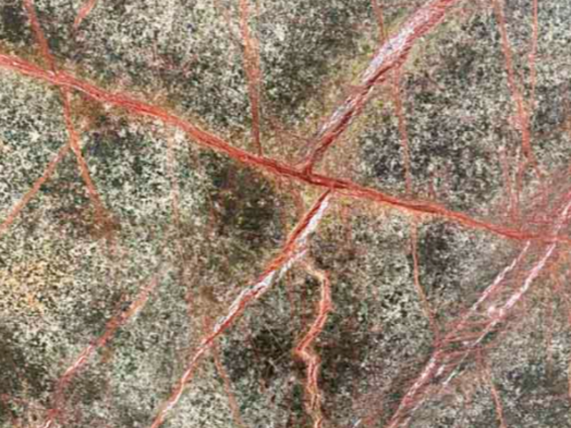 Marmol Rain Forest Santiago