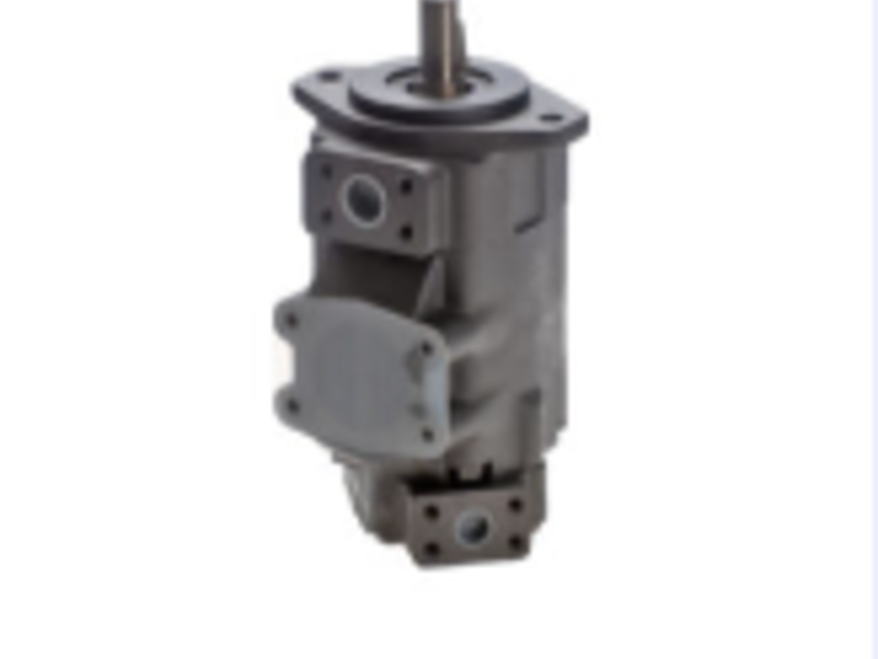 Bombas Dobles Tipo BQ52G Chile