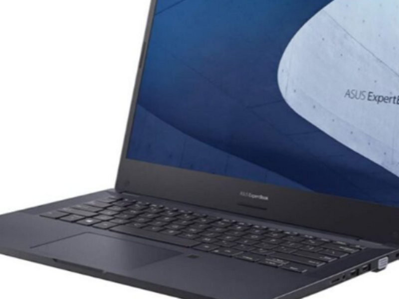 Notebook Asus ExpertBook P2 Santiago