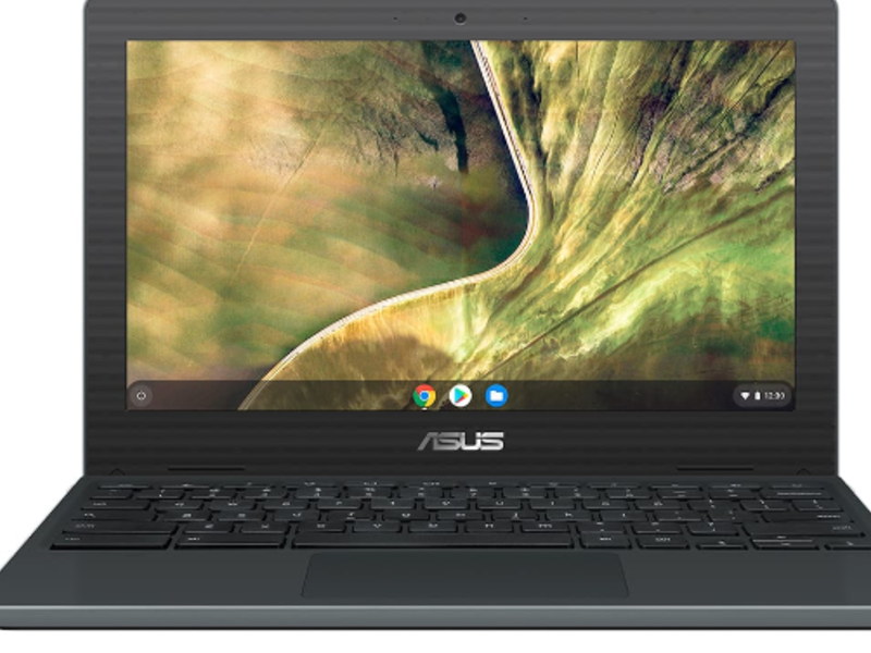 Notebook ASUS Chromebook Viña