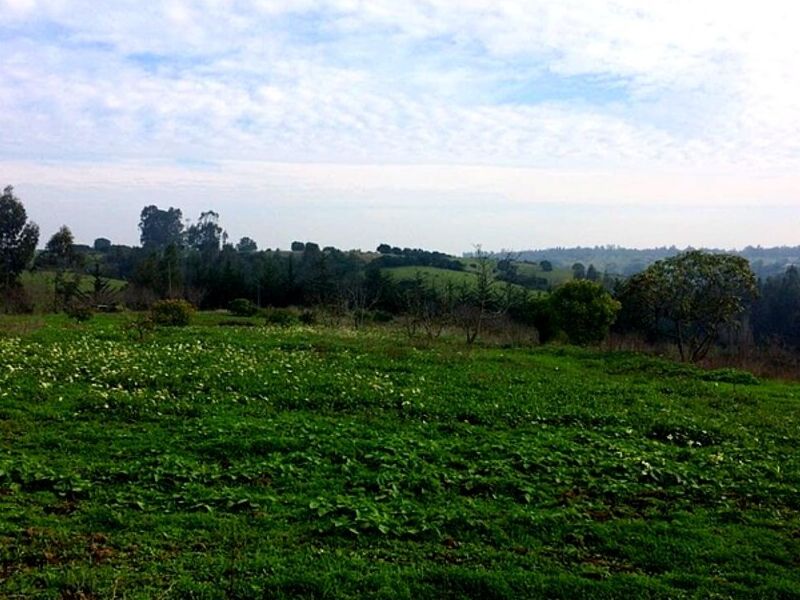 Terreno Venta Chile