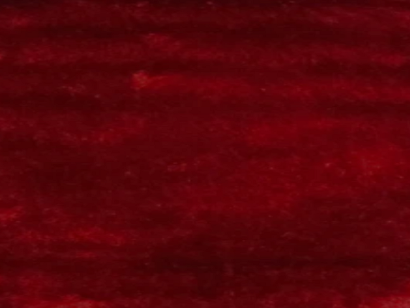 Alfombra roja italiana 