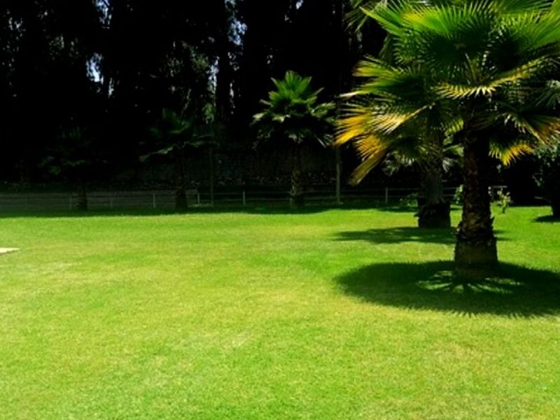 Parcela Chile