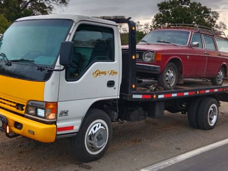 Grúas para automóviles Vicuña