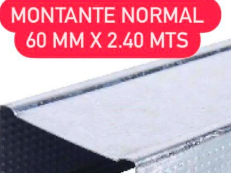 MONTANTE NORMAL CHILE