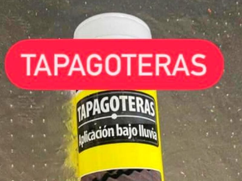 TAPAGOTERAS CHILE