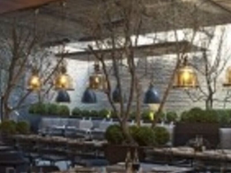 Proyecto Restaurante Chile