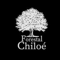 Forestal Chiloé