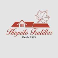 Huguito Frutillar