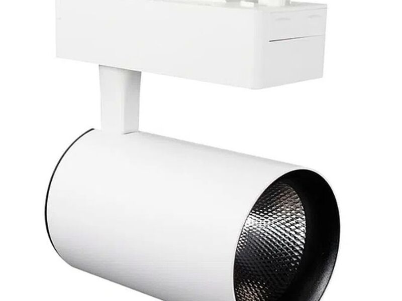 FOCO RIEL 30W LED Santiago Chiel