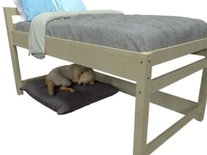 Cama Pino Pun Santiago
