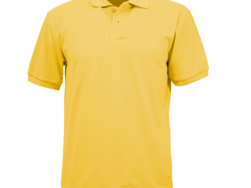 Polera Pique en Región Metropolitana