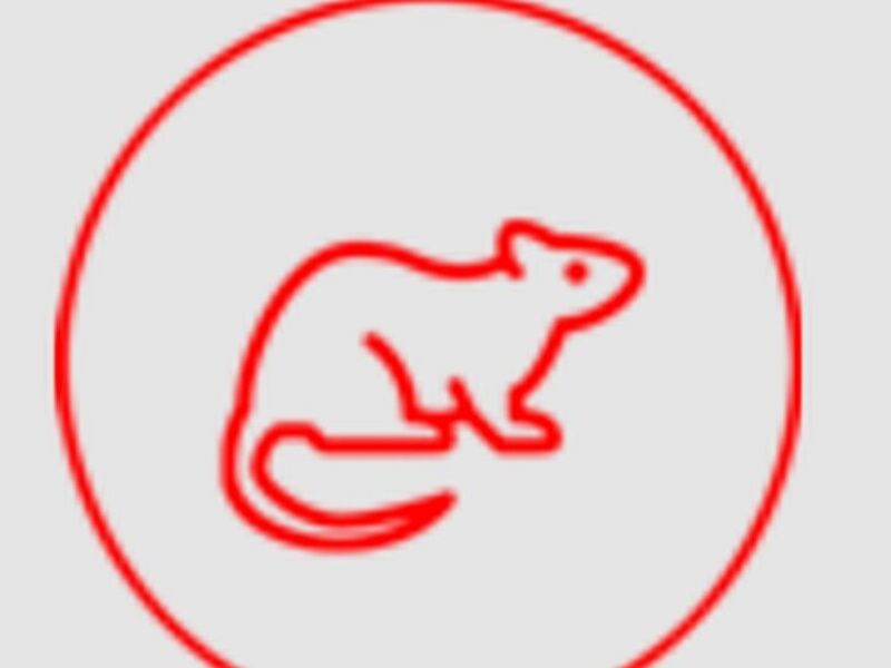 Desratización  Chile