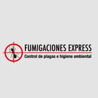 FUMIGACIONES EXPRESS