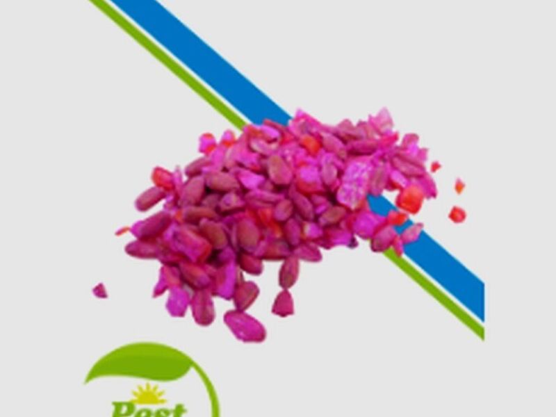 insecticida CEBO FRESCO PLUS 5KG Chile