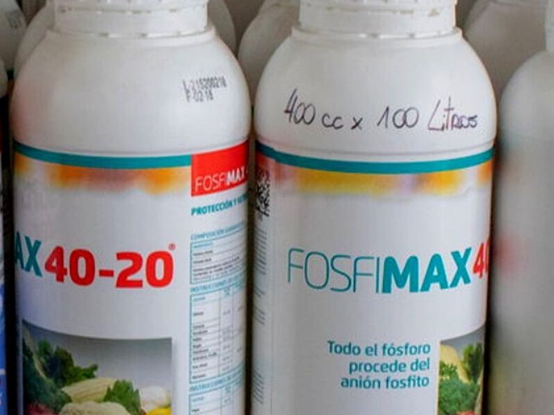 Bioestimulantes Chile
