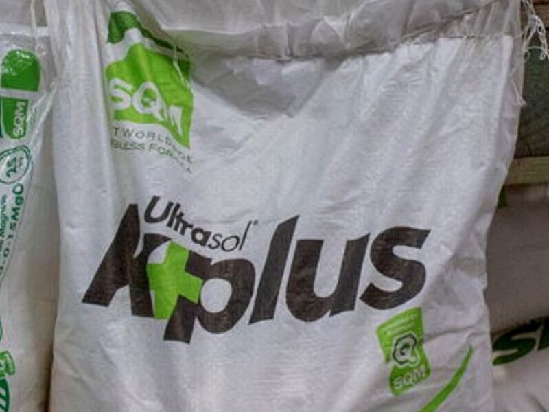 Abono Foliar Chile