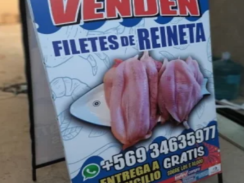 Palomas Publicitarias 