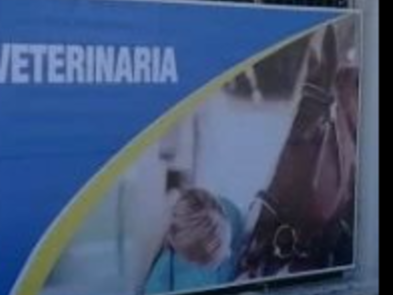 Publicidad Ángeles